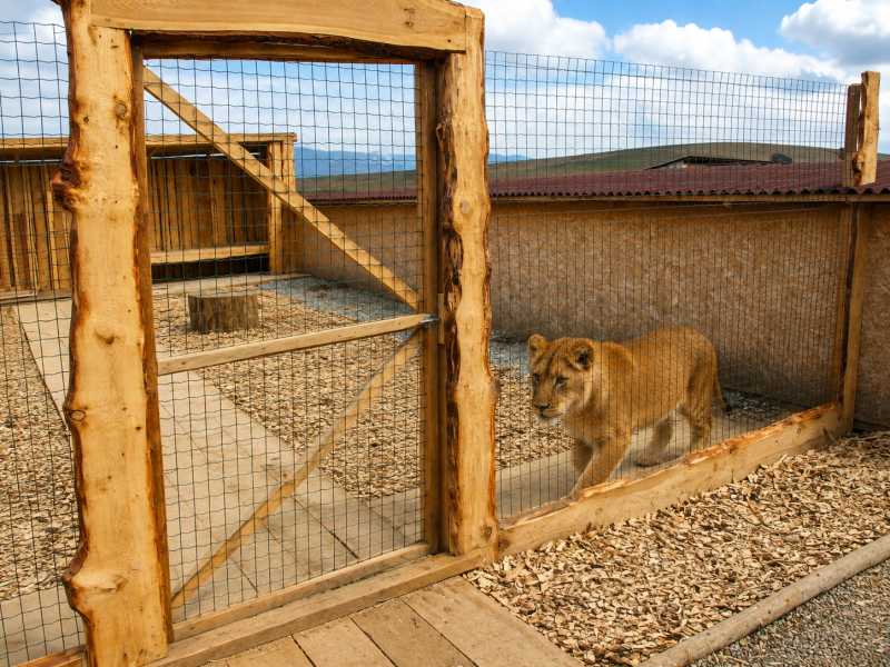 Kontaktná ZOO - Tatralandia